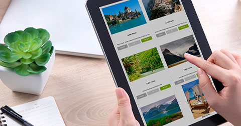 Person reviewing awards catalog on a tablet